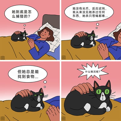 这是一组四格连环卡通漫画，画面背景为粉色，主体是躺在床上的女主人和趴在她腿上的黑白花色猫咪。第一格中，女主人抚摸着猫咪，内心疑惑“她到底是怎么捕猎的？”；第二格，她继续思索，觉得这只猫咪捕猎能力极差，没有尖爪、反应迟钝，连杀苍蝇都困难；第三格，她疑惑这只猫咪明明捕猎不行，却总能找到食物；第四格，女主人突然反应过来，发出“什么情况呢？”的惊呼，而猫咪此时也瞪大了绿色的眼睛，仿佛自己靠人类喂养的生存秘密被戳穿，整个漫画以幽默的方式展现了宠物猫无需捕猎，依靠主人获得食物的有趣日常，充满了温馨又搞笑的氛围。