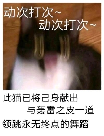 这是一张图文混排的静态趣味梗图，画面主体是一只猫咪，它的两只爪子快速挥动，动作模糊，看起来像是在跟着节拍跳舞。图中上方配文“动次打次~动次打次~”，模拟跳舞的节拍音效，完美贴合猫咪的动作；下方则用文艺且夸张的文案“此猫已将己身献出，与轰雷之皮一道，领跳永无终点的舞蹈”来调侃猫咪的动作，将猫咪挥动爪子的日常行为赋予了充满仪式感的搞笑解读，整体氛围魔性又滑稽，适合用来传递欢快、搞怪的情绪。