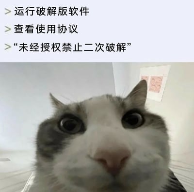 这是一张图文混排的搞笑梗图，上方文字描述了一个充满荒诞感的场景：用户在运行破解版软件后查看使用协议，却发现协议中存在“未经授权禁止二次破解”的条款；下方搭配了知名的mur猫表情包，猫咪瞪大双眼、近距离怼脸的震惊表情，完美契合了看到这一离谱条款时的错愕、无语情绪，用夸张的视觉效果讽刺了破解版软件设置此类不合理协议的荒诞之处，整体充满搞笑吐槽的氛围。