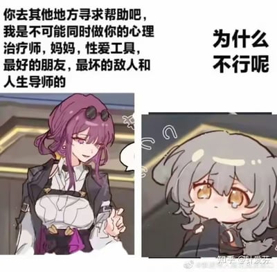 这是一张双格拼接的动漫风格梗图。左侧为紫色头发、戴黑色护目镜、穿黑色外套的女性角色，她面带平静略带smirk的表情，抬手说出拒绝的话语：“你去其他地方寻求帮助吧，我是不可能同时做你的心理治疗师，妈妈，性爱工具，最好的朋友，最坏的敌人和人生导师的”。右侧为灰色短发、眼睛圆润的女性角色，她歪着头，眼神中充满疑惑，下方配有文字“为什么不行呢”。整体通过角色间的对话，幽默地吐槽了对他人过度索取、期望身兼多职的不合理要求。