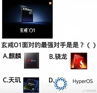 图片上方展示了玄戒01芯片的产品图片，下方是一道选择题：'玄戒01面对的最强对手是是？（）'，提供了四个选项，每个选项都配有相应的产品图片：A.麒麟（配有Kirin芯片图片）、B.骁龙（配有Snapdragon芯片图片）、C.天玑（配有MediaTek芯片图片）、D.HyperOS（配有HyperOS系统标志）。整体采用问答形式，考察对芯片行业竞争对手的了解。