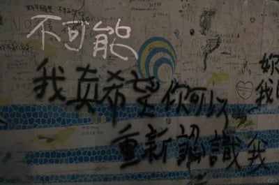 暂无描述