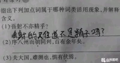 这是一张翻拍的语文文言文词类活用练习题页面图，原题要求学生指出加点词的词类活用现象并解释含义，第一题题干为文言句子「吾射不亦精乎」，有网友在题目下方手写了恶搞答案「我射的难道不是精子吗？」，利用汉字「射」和「精」的多义性玩低俗双关梗，完全背离了原题考察文言文字词用法的出题初衷，图片右下角带有百度贴吧「吊图吧」的官方水印。