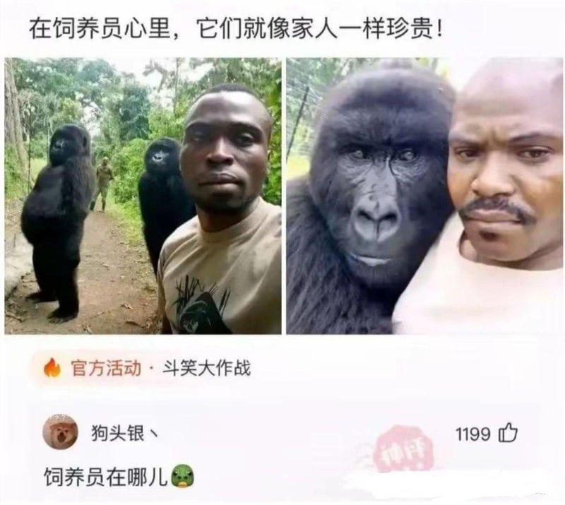 大猩猩