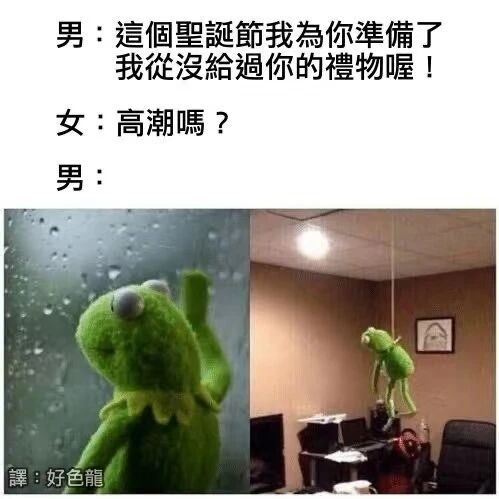 布偶秀