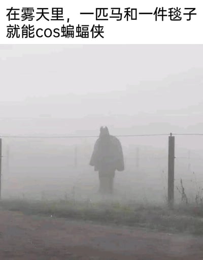 这是一张在浓雾天气下拍摄的户外照片，画面中一匹马被毯子盖住身体，只露出头顶的耳朵，在雾气的朦胧效果下，它的剪影看起来和超级英雄蝙蝠侠的形象高度相似。图片上方配有文字“在雾天里，一匹马和一件毯子就能cos蝙蝠侠”，巧妙利用视觉错位的效果，将普通的乡村场景转化为搞笑的“蝙蝠侠cosplay”场景，充满趣味性，让人忍俊不禁。