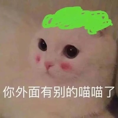 这是一张经过P图改编的静态表情包，主体是一只白色的猫咪，它的脸颊被添加了粉红色的红晕，眼神湿漉漉的，呈现出委屈巴巴的神情，头顶还被手绘了一团绿色的涂鸦，模仿被“戴绿帽”的形象。图片下方配有文字“你外面有别的喵喵了”，以猫咪的口吻模仿情侣间质问对方有外遇的语气，将人类的吃醋、质问的情感代入到可爱的猫咪形象中，用软萌的方式表达不满和吃醋的情绪，适合在亲密的朋友、伴侣之间用来调侃或者表达自己的小情绪。