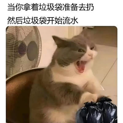 图片上方配有文字'当你拿着垃圾袋准备去扔 然后垃圾袋开始流水'，下方是一只灰白相间的猫，嘴巴大张，表情惊恐，前爪抱着黑色垃圾袋，仿佛在经历垃圾袋漏水时的崩溃瞬间。整体用幽默的方式展现了日常生活中遇到垃圾袋漏水的尴尬和抓狂场景。