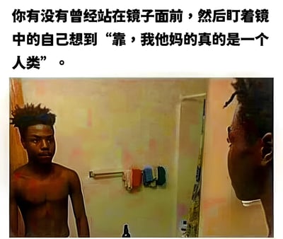 图片上方配有文字：“你有没有曾经站在镜子面前，然后盯着镜中的自己想到‘靠，我他妈的真的是一个人类’。”下方是一张浴室场景图，一个没有穿衬衫的人正站在镜子前看着自己的倒影，背景中可以看到挂着的毛巾和淋浴设备。这张图通过幽默的方式表达了人们偶尔会有的自我认知困惑时刻。