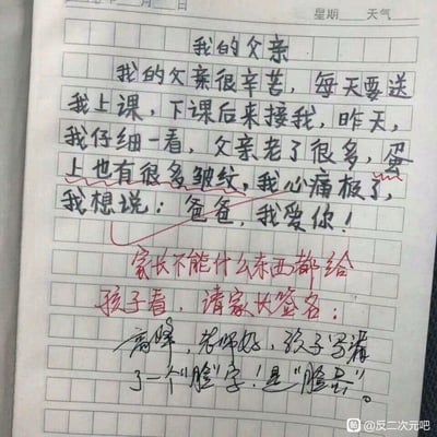 一张小学生作文《我的父亲》的照片，作文中孩子本想表达父亲脸上有皱纹，却因写错字写成了“蛋上也有很多皱纹”。老师用红笔圈出错误并写下“家长不能什么东西都给孩子看，请家长签名”的评语。随后家长“高峰”回复解释是孩子写错了“脸”字，应该是“脸蛋”。整个场景因错别字引发了搞笑的误会，展现了家庭教育中的温馨又幽默的瞬间。