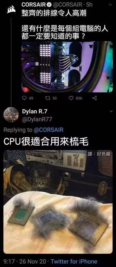 这是一张Twitter（现X平台）对话截图，包含两部分内容：上方是硬件品牌CORSAIR的推文，配图为一台内部排线整齐、带有RGB灯效的电脑主机，配文“整齐的排线令人高潮 还有什么是每个组电脑的人都一定要知道的事？”；下方是用户Dylan R.7的回复，配图为三只沾满猫毛的旧CPU，配文“CPU很适合用来梳毛”。整体通过反差萌的幽默方式，调侃了电脑硬件的“迷惑性用途”，将精密的CPU与日常的猫毛梳理联系起来，形成搞笑效果。