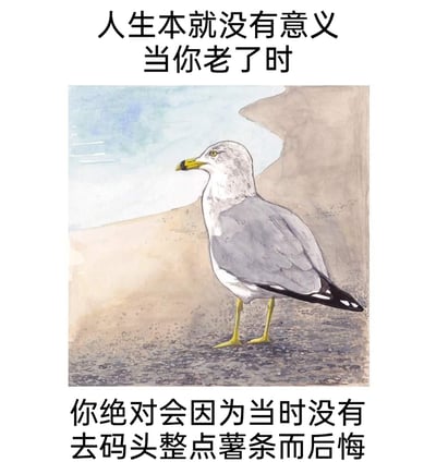 这是一张顶配底文的静态卡通插画图，上方配有文字“人生本就没有意义 当你老了时”，中间是一幅水彩风格的海鸥插画，海鸥灰白带黄喙黄腿，站立在类似码头的地面上，背景是浅滩与水面；下方配有文字“你绝对会因为当时没有去码头整点薯条而后悔”。图片用严肃深沉的人生感慨语境，引出“去码头整点薯条”这个无厘头的内容，通过强烈的反差感制造幽默效果，传达出一种不要被所谓的“人生意义”束缚，要及时去做轻松随性小事、享受当下的荒诞人生态度。