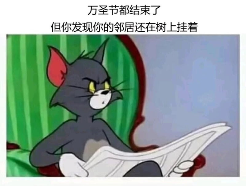 猫和老鼠