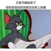 猫和老鼠