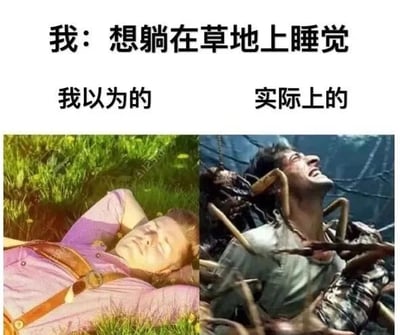 这是一张左右对比式的图文混排梗图，上方配有文字“我：想躺在草地上睡觉”，下方分别用“我以为的”和“实际上的”标注两个场景。左侧“我以为的”场景中，一名身着粉色上衣的人双手枕在头后，闭着眼睛惬意地躺在绿意盎然的草地上，呈现出放松舒适的状态，是人们对躺卧草地休息的美好想象；右侧“实际上的”场景是电影《加勒比海盗2：聚魂棺》的剧照，角色威尔·特纳被挪威海怪的触手缠住脖子与身体，仰头张嘴，表情痛苦狰狞，正在挣扎。图中通过这种极端的反差，用夸张戏谑的方式制造幽默效果，调侃想象中美好休闲的场景和现实中可能遭遇的糟糕状况之间的巨大落差，没有双关或谐音梗。