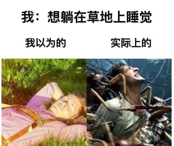 《加勒比海盗2：聚魂棺》