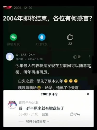 这是一张社交媒体内容拼接截图，上方是2004年12月20日的中文论坛旧帖内容，楼主发帖询问“2004年即将结束，各位有何感言？”，IP为61.163.126.*的3楼用户回复称“今年最大的收获是发现在互联网可以随意骂街。明年再接再厉。”，该旧回复下附有两条当代网友的调侃评论，分别为“领先了版本20年”和“哈哈，造就了今天啊”；下方是该内容发布到当代社交平台后的评论区弹窗，显示总共有3382条评论，其中用户“古典牛马分卫”留言“我一岁半原来就有键盘侠了”，获得894个点赞，还可展开44条相关回复。整体内容通过新老网络留言的对比，调侃“键盘侠”这一互联网现象早在2004年就已出现，存续至今。