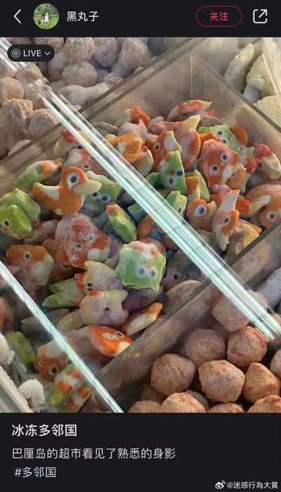 这是一张直播画面截图，展示了巴厘岛超市冰柜中的一款彩色小鸟造型冰冻零食，这些零食的造型与多邻国（Duolingo）的标志性小鸟形象高度相似，表面覆盖着冰霜，色彩包含橙、绿、白等多种配色，配文“冰冻多邻国”玩了谐音梗。
谐音梗说明：将多邻国的“催学小鸟”形象与冰冻零食结合，调侃把学习软件里的标志性角色变成了可以食用的零食，充满趣味感。