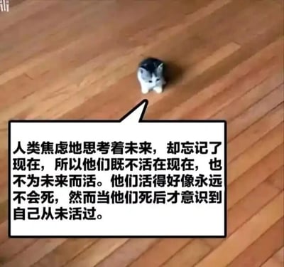 这是一张静态单图，属于图文混排且带有对白气泡的创作内容。画面主体是一只灰白黑相间的小奶猫，安静地趴在浅棕色的木质地板上，神态乖巧。图中通过对白气泡的形式，以小奶猫的口吻呈现了一段深刻的人生感悟文字：“人类焦虑地思考着未来，却忘记了现在，所以他们既不活在现在，也不为未来而活。他们活得好像永远不会死，然而当他们死后才意识到自己从未活过。” 用可爱治愈的小动物形象搭配带有反思性的哲理文字，形成强烈的反差感，旨在引发观者对自身生活状态的思考，提醒人们珍惜当下，避免在对未来的焦虑中虚度时光。图片左上角还有一个模糊的“li”水印。