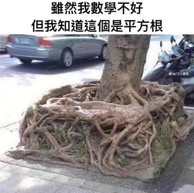 暂无描述