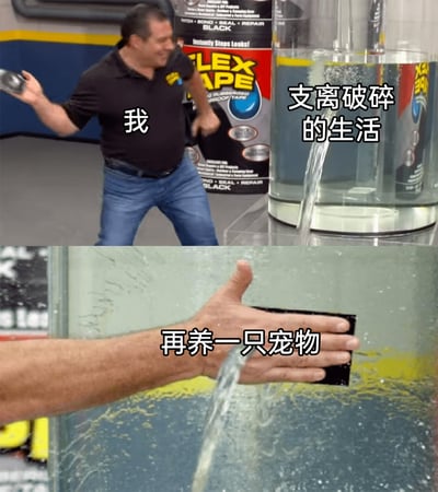 暂无描述