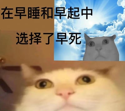 这张网络梗图以对比的方式讽刺现代人作息和健康问题。在需要在“早睡”和“早起”两者之间艰难抉择时，配文直接用“选择了早死”表达自嘲，突出职场人、学生党等因休息不足、生活压力大引发健康危机的共鸣。画面一半为房间，另一半为天国之光，形成反差。整体搞笑，兼具些许黑色幽默，属于典型的自黑段子风格。此图带有谐音、双关含义，对“早死”一词进行了玩梗式使用。