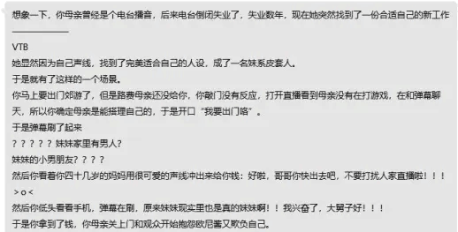 前电台播音员，现VTB皮套人