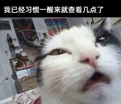 这是一张文字加注的静态表情包图片，图中主体是一只白灰相间的猫咪，它半睁着一只眼，另一只眼微眯，嘴巴微张，神态疲惫又带着迷茫，呈现出一副没睡醒的慵懒模样。图片上方配有文字“我已经习惯一醒来就查看几点了”，精准戳中了当代背负工作、学习压力的群体的日常状态——醒来第一反应就是确认时间，担心睡过头，用猫咪的疲惫神态完美呼应了这类人群身心俱疲的情绪，极易引发大众共鸣。