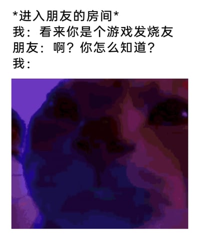 这是一张图文结合的搞笑网络梗图，上方呈现对话文本：在进入朋友的房间后，“我”直接判定朋友是游戏发烧友，朋友对此感到疑惑并询问依据，下方则是一张被蓝紫色灯光映照的猫咪脸部特写图，这张图作为“我”的回应，暗示朋友的房间有着游戏爱好者标志性的氛围感灯光，通过这种视觉化的调侃，精准戳中游戏发烧友房间的典型特征，怪异的猫咪脸也让这个笑点更具荒诞感，容易引发网友共鸣。
