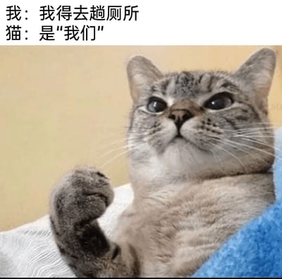 这是一张充满趣味的宠物搞笑表情包，图片上方设置了拟人化的对话：主人表示“我得去趟厕所”，猫咪则强势纠正为“是‘我们’”。图中的虎斑猫眼神傲娇，表情带着理所当然的强势感，还抬起一只爪子，仿佛在强调自己的主张，生动还原了猫咪粘人、时刻要跟随主人的日常状态，用拟人化的对话放大了宠物的可爱粘人属性，精准戳中养宠人的共鸣，让人忍俊不禁。