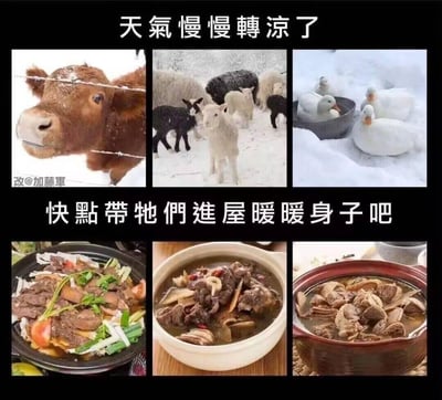 这是一张秋冬时节的搞笑梗图，分为上下两部分：上半部分是牛、羊、鸭子在雪地中受冻的照片，配文“天氣慢慢轉涼了，快點帶牠們進屋暖暖身子吧”；下半部分对应展示了牛肉暖锅、羊肉汤、鸭汤的美食图片。图中玩了一个双关梗，表面是说要把动物带进屋保暖，实际是暗示把它们做成热汤，用这种反差感来调侃秋冬进补吃热肉暖身的习俗，趣味十足。