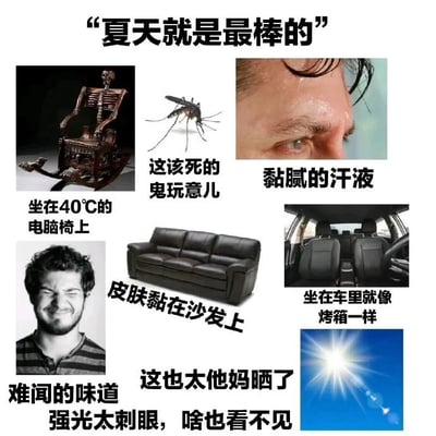 图片顶部以黑色粗体字写着“夏天就是最棒的”作为标题，下方通过六张图片与对应文字形成讽刺对比，展现夏天的各种烦恼：左上角是坐在40℃电脑椅上的骷髅骨架；上方中间是蚊子配文“这该死的鬼玩意儿”；右上角是汗流浃背的人脸特写标有“黏腻的汗液”；左下角是皱眉痛苦的人脸写着“难闻的味道”；中间下方是黑色皮沙发配文“皮肤黏在沙发上”；右下角是汽车内部和强光太阳，分别标注“坐在车里就像烤箱一样”“这也太他妈晒了 强光太刺眼，啥也看不见”。整体通过幽默吐槽的方式，用反话表达对夏天高温、蚊虫等不适的无奈。