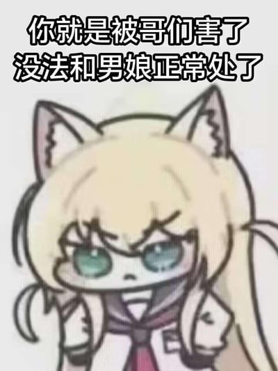 这是一张Q版卡通猫娘表情包，角色有着浅金色长发、猫耳，眉头紧皱、眼神委屈中带着愤怒，嘴角下撇，双手抱于胸前，摆出不满的姿态。图上配文“你就是被哥们害了 没法和男娘正常处了”，以生动的神态吐槽被朋友影响后，无法以普通心态和男娘相处的搞笑社交窘境，整体风格搞笑又带点委屈，没有双关、谐音梗或暗示内容。