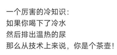这是一张纯文字形式的搞笑梗图，通过无厘头的类比制造笑点：将人体摄入冷水后排出温热尿液的生理过程，类比为茶壶注入冷水、倒出热水的使用功能，从而调侃称“从技术上来说，你是个茶壶”，用荒诞的逻辑打造轻松的冷笑话效果，没有双关、谐音梗等特殊修辞，仅以简单类比带来趣味。