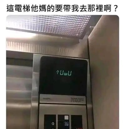 这是一张记录电梯界面的实拍静态照片，照片上方添加了吐槽文字“这电梯他妈的要带我去哪里啊？”。电梯的楼层显示屏由于字符显示的样式巧合，呈现出类似“↑UwU”的视觉效果，UwU是网络上常见的可爱表情符号，原本普通的电梯楼层显示因此变得滑稽有趣，配上吐槽的文字，放大了这种场景的荒诞感，形成了搞笑的梗图效果，让原本日常的乘坐电梯场景充满趣味。