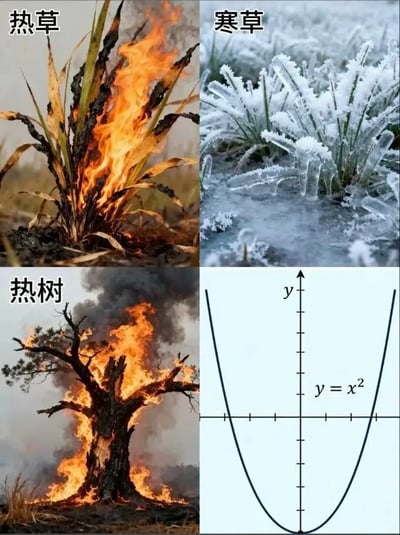 这是一张2行2列布局的四格拼接冷笑话梗图：第一行左图是正在被火焰灼烧、部分叶片已碳化的草，左上角标注文字“热草”；第一行右图是被冰雪覆盖、叶片挂着冰棱和霜花的草，左上角标注文字“寒草”；第二行左图是整棵正在燃烧、冒着浓烟的树木，左上角标注文字“热树”；第二行右图是平面直角坐标系中的二次函数y=x²的抛物线图像。该图利用谐音玩梗，前三格的“热树、寒草”读音和第四格的数学函数内容形成呼应，属于冷幽默类的玩梗创作。