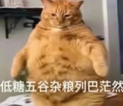 一只体型肥胖的橘猫直立站在室内，挺着巨大的肚子，脸上带着茫然困惑的表情。图片下方配有文字“低糖五谷杂粮列巴茫然”，将猫咪的茫然表情与健康食品联系起来，形成一种幽默的反差效果。