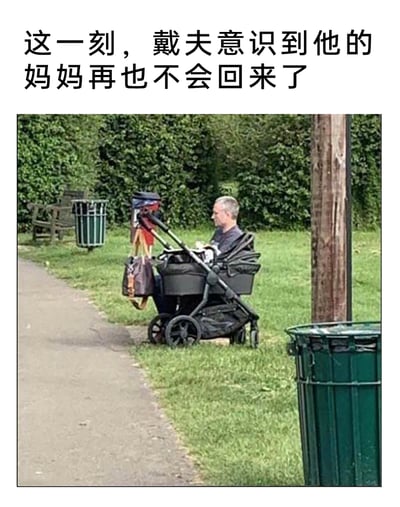 这是一张利用视觉错位制造荒诞笑点的网络梗图。画面呈现户外公园场景，一位成年男性坐在草地的婴儿车旁，特殊的拍摄角度让他看起来像是坐在婴儿车内的“婴儿”。图上方配有文字“这一刻，戴夫意识到他的妈妈再也不会回来了”，用拟人的悲伤叙事和滑稽的视觉画面形成强烈反差，营造出荒诞搞笑的氛围，通过这种错位感和文字的脑洞组合，引发观者的趣味联想。
