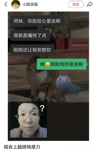 这是一张高校课题组相关的搞笑梗图，整体为社交媒体帖子截图样式，顶部显示发布账号为「小鼠实验」。主体部分是课题组同门的聊天记录：师兄给师妹发消息安慰，称导师只是嘴快，还特意让自己来安慰师妹，师妹错愕回复「啊😧刚刚骂的是我啊」，聊天背景还配有灰色的呆萌cheems小表情包。聊天记录下方搭配了一张头顶问号、满脸疑惑的人脸表情包，帖子底部配文「组会上超绝钝感力」，调侃这位师兄在组会上完全没听清导师批评的对象是谁，钝感程度极高的搞笑场景，精准还原了课题组组会的常见搞笑/社死日常。