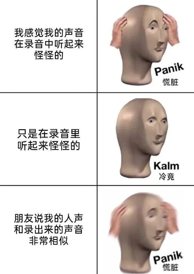 这是一张使用Panik Kalm格式的三行两列梗图，展示了人们对自己录音声音的常见反应。第一行：当感觉自己录音声音奇怪时的慌张；第二行：安慰自己只是录音里听起来奇怪；第三行：当朋友说真人声音和录音很像时再次陷入慌张。