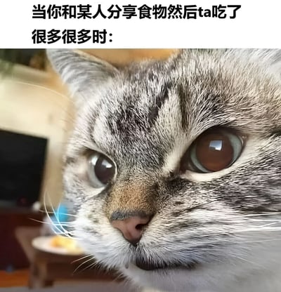 图片上方配有文字'当你和某人分享食物然后ta吃了很多很多时：'，下方是一只狸花猫的特写镜头。猫咪有着圆溜溜的棕色大眼睛，眼神中带着明显的惊讶和一丝难以置信，仿佛在生动演绎分享食物后对方吃太多时的内心OS。整体通过猫咪真实且夸张的表情与情景文字结合，幽默地展现了日常生活中分享食物时的小尴尬与趣味瞬间。