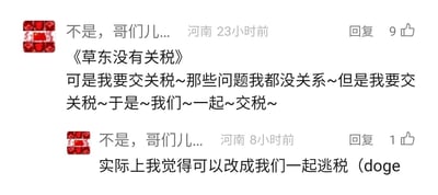 这是来自河南的用户“不是，哥们儿...”发布的两条社交媒体评论，第一条玩了台湾摇滚乐队“草东没有派对”的名字谐音梗，将乐队名改编为《草东没有关税》，并模仿乐队歌曲的句式创作了关于缴纳关税的趣味歌词；第二条评论则是对之前玩梗的延伸，开玩笑提出可以改成“我们一起逃税”，并带上doge表情，以此表明内容为调侃性质，并非真实倡导逃税行为，整体通过谐音和改编歌词制造轻松搞笑的网络玩梗效果。