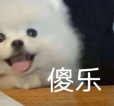 这是一张静态的文字加注类表情素材图，画面主体是一只白色的博美犬，它趴在木质桌面上，眼睛圆睁，嘴巴张开并吐出舌头，表情看起来十分开心、憨态可掬。图片的右下角配有醒目的白色文字“傻乐”，精准地概括了狗狗此刻天真无忧的状态。整体画面氛围轻松治愈，传递出一种没心没肺、单纯快乐的情绪，非常适合在聊天场景中用来表达自己当下无忧无虑、开心傻乐的心情，没有双关、谐音梗等特殊含义。