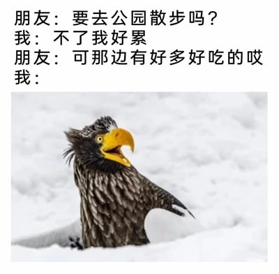 这是一张图文混排的搞笑表情包，上方设置了三段生活化对话：朋友邀请“我”去公园散步，“我”以疲惫为由拒绝，当朋友提及公园有很多好吃的后，下方搭配了一张虎头海雕从雪地里探出头的照片。照片里的虎头海雕嘴巴大张、眼睛圆睁，表情夸张又兴奋，精准还原了“我”听到美食诱惑后，瞬间从萎靡疲惫切换到精神亢奋的状态，生动调侃了人们难以抵挡美食诱惑的日常，充满趣味。
