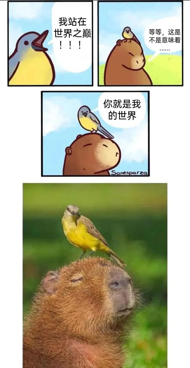 小黄鸟