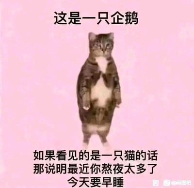 这是一张以视觉错位为创意的趣味早睡提醒梗图，背景为柔和的粉色。图中是经过P图处理的猫咪，直立的姿态和身体轮廓被调整成类似企鹅的样子。上方配文“这是一只企鹅”，下方配文“如果看见的是一只猫的话 那说明最近你熬夜太多了 今天要早睡”，通过调侃熬夜导致视觉疲劳看错图像的方式，幽默又温馨地提醒人们要早点休息，养成健康的作息习惯，没有双关、谐音梗等特殊内容。