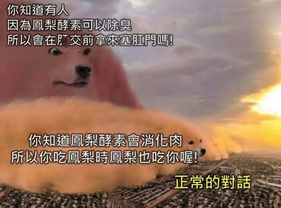 图片展示了一个带有幽默和荒诞内容的梗图。背景是戏剧性的日落天空，前景有两个带有人类表情的狗头生物，一个粉红色较大的狗头漂浮在天空前，表情惊讶；一个黄色的狗头趴在地面上。图片上有三段文字，讨论了关于凤梨酵素的荒诞用途和伪科学说法，最后以"正常的对话"作为讽刺性结尾。