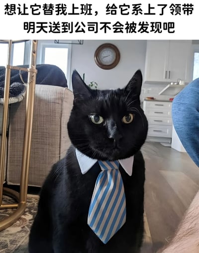 图片中是一只黑猫坐在居家环境中，它戴着白色衬衫领和蓝白条纹领带，表情严肃地直视前方。背景可见沙发、挂钟和厨房区域，营造出温馨的家庭氛围。图片上方配有文字“想让它替我上班，给它系上了领带 明天送到公司不会被发现吧”，以幽默的方式表达了打工人希望逃避上班的心情，通过给宠物猫“打扮成上班族”的创意，制造出滑稽又共鸣的效果。