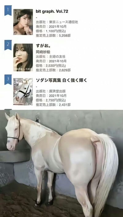 这是一张上下拼接的趣味梗图，上半部分是2021年10月的日本写真集销量榜单，前三名中第三位是赛马「ソダシ」的写真集《ソダシ写真集 白く強く輝く》；下半部分是这匹白色赛马的实拍照片，由于拍摄角度和马的身形，马的臀部与腿部形成了视觉错位，看起来酷似人类的身体，制造出荒诞搞笑的反差感。

这是利用视觉错位打造的搞笑梗，结合赛马写真集登上人气榜单的内容，放大了这份反差带来的趣味性。