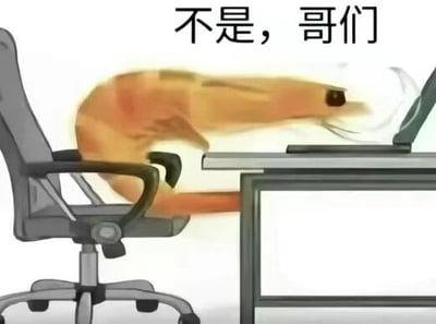 这是一张P图改编的静态卡通风格表情素材图，画面将一只虾进行拟人化处理，让它坐在办公椅上，身体前倾，脸凑近电脑屏幕，呈现出疲惫、无奈的姿态，图片上方配有文字“不是，哥们”。图中利用“虾”与“瞎”的谐音梗，调侃打工人在职场中疲惫不堪、近乎“瞎忙”的状态，传递出对职场辛劳的吐槽与无奈情绪，适合在职场相关的聊天场景中使用，用来抒发上班时的烦躁、无力感。